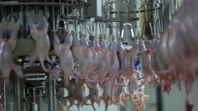 poultry processing plant