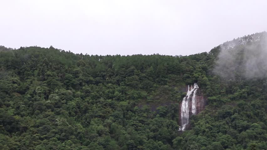 Small river waterfall in the nature with green foliage