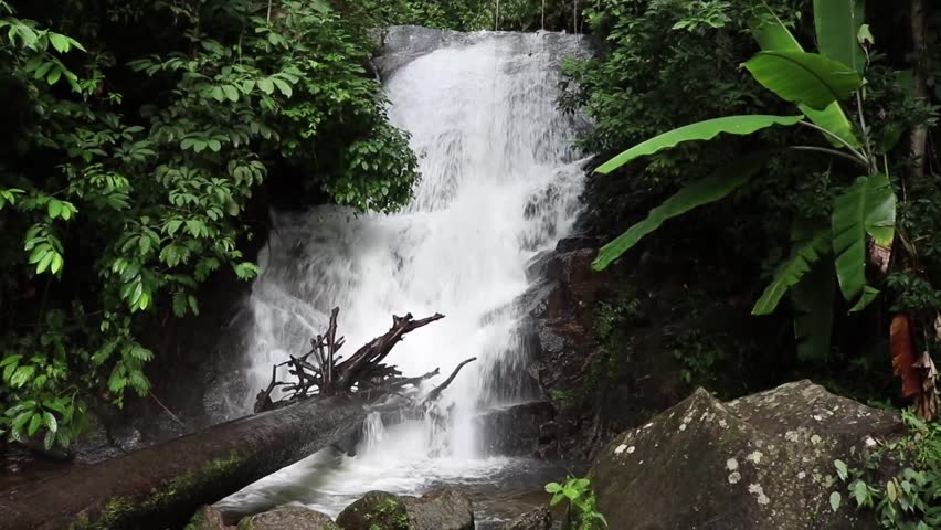 Small river waterfall in the nature with green foliage