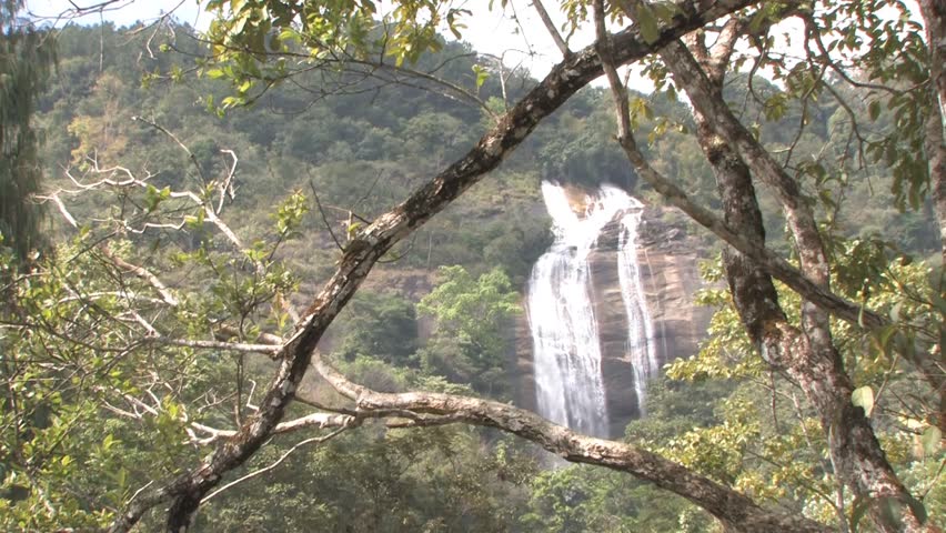 Small river waterfall in the nature with green foliage