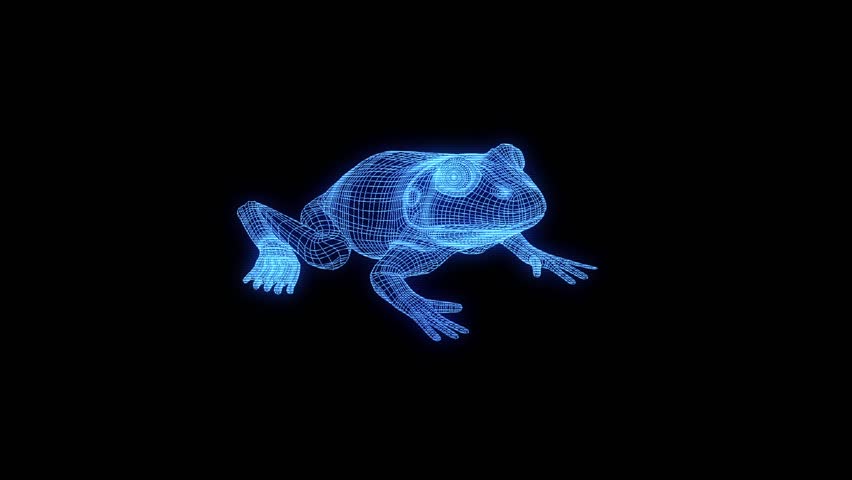 Frog in Hologram Wireframe Style. Nice 3D Rendering
