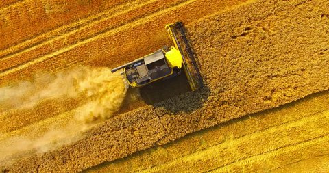 Aerial view of combine harvester. Harvest of wheat field. Industrial footage on agricultural theme. Biofuel production from above. Agriculture and environment in European Union. 