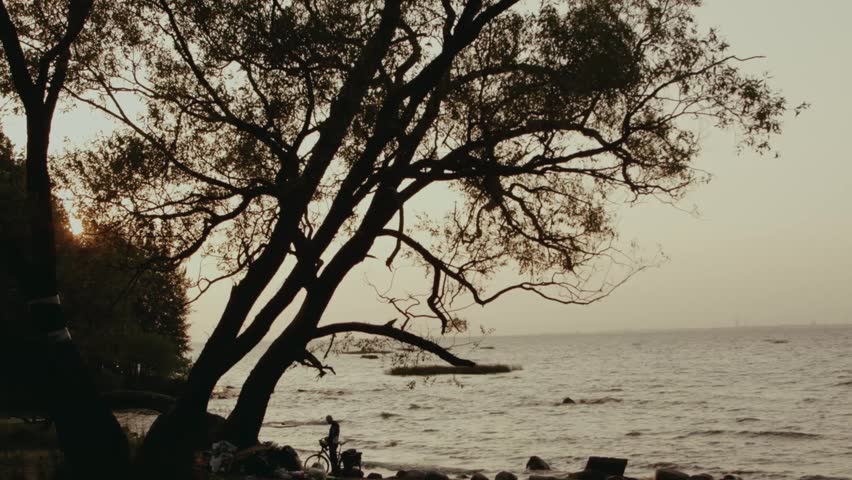 Tree and man on the background of the bay