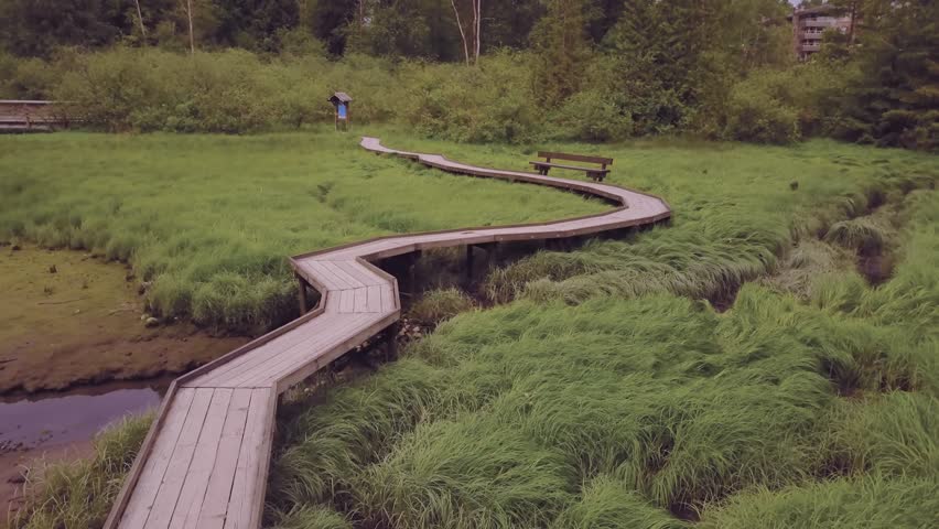 Aerial view of a wooden path across a swamp in a public park. Taken in Shoreline Trail, Port Moody, Greater Vancouver, British Columbia, Canada.
