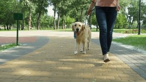 Pleasant sporty woman walking in the park with her dog