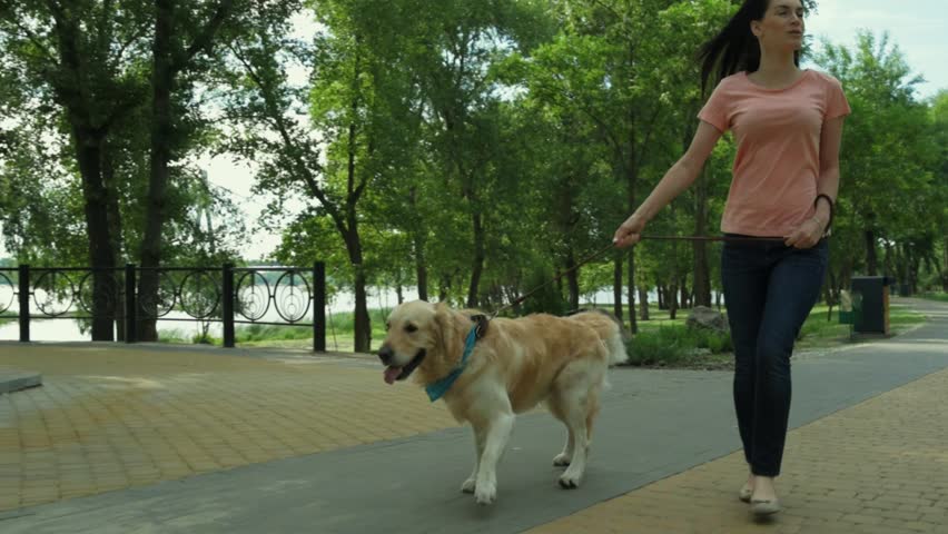 Enthusiastic young woman walking with her dog | Shutterstock HD Video #29159560