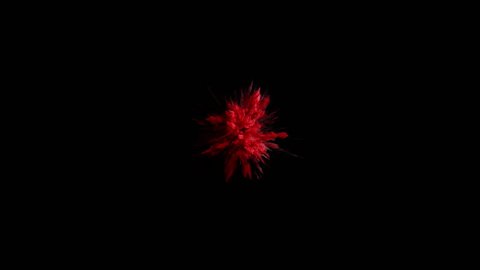 Cg animation of red powder explosion on black background. Slow motion movement with acceleration in the beginning. Has alpha matte. Wide angle version.