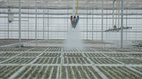 Industrial greenhouses large in size using top automatic watering indoors. equipment system moves slowly, floods plantation, Consists of long rows pipes droppers. Trumpet laid along rows of planted