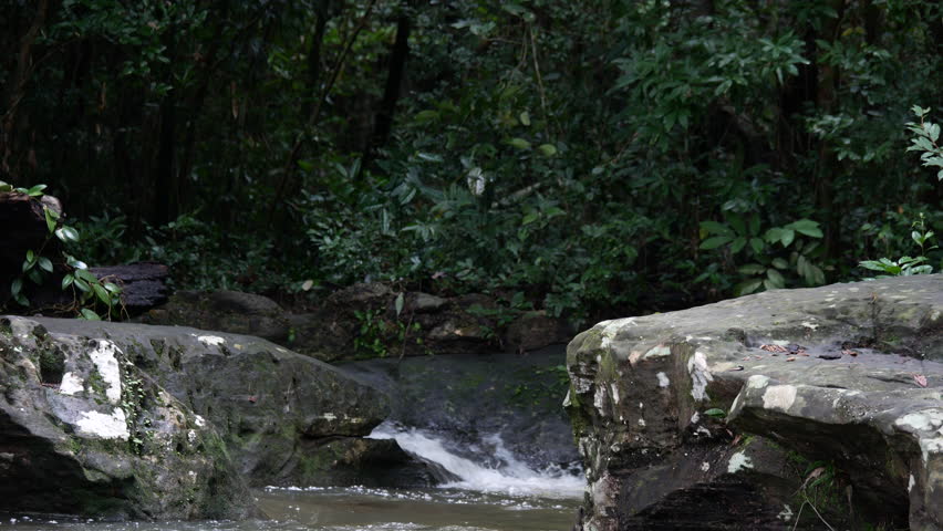 Men sitting swing foot relax at the forest
