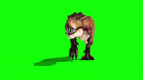 Angry T-Rex Runcycle Green Screen Close , Stock Video