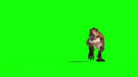 Tyrannosaurus T-Rex Run Green Screen 3D , Stock Video