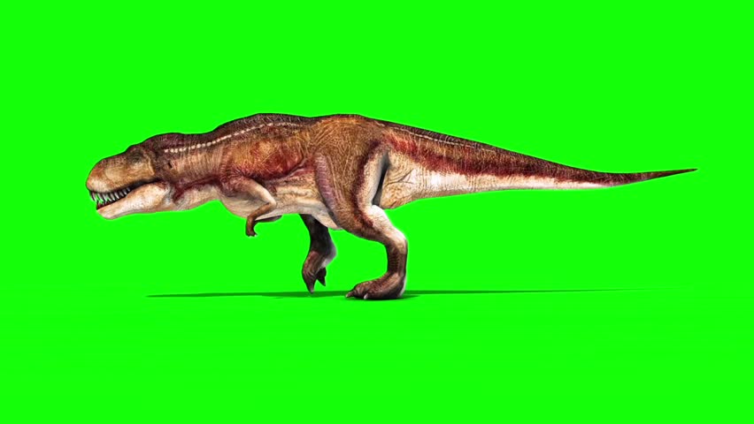 Tyrannosaurus T-Rex Runcycle Green Screen 3D Rendering Animation Shuttersto...