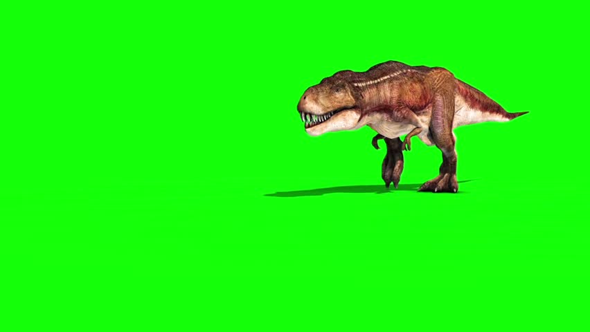 tyrannosaurus t-rex run green screen 3d Stock Footage Video (100% Royalty-f...