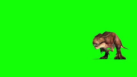 Trex Dinosaurs - 3D Animation - PixelBoom