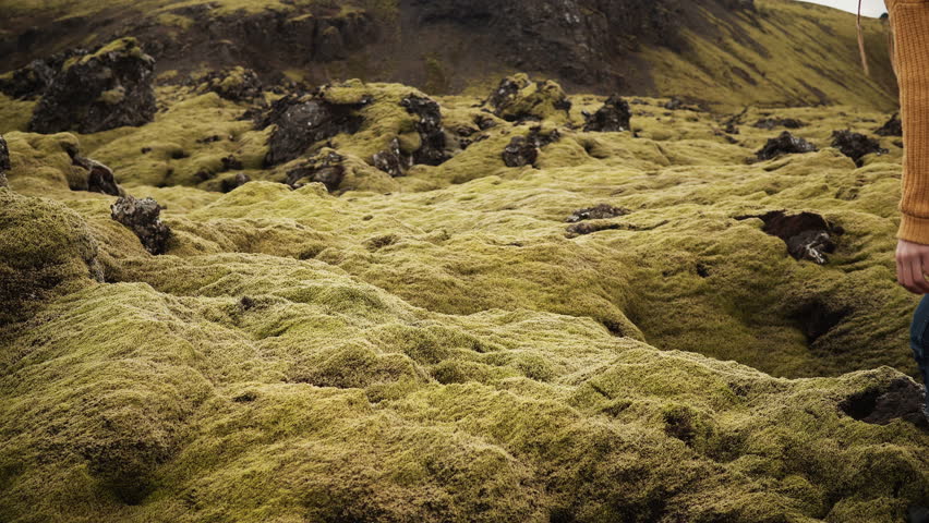 Freedom: two tourists woman raises hands on the lava field covered moss in Iceland. Friends feeling happy after hiking.