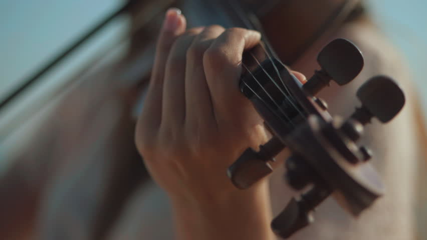 Girl violinist playing the violin outdoors. Green leaves backgound. Close up. Musician playing. Slow motion. | Shutterstock HD Video #29186434