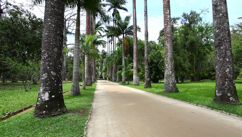Botanical garden, Rio de Janeiro