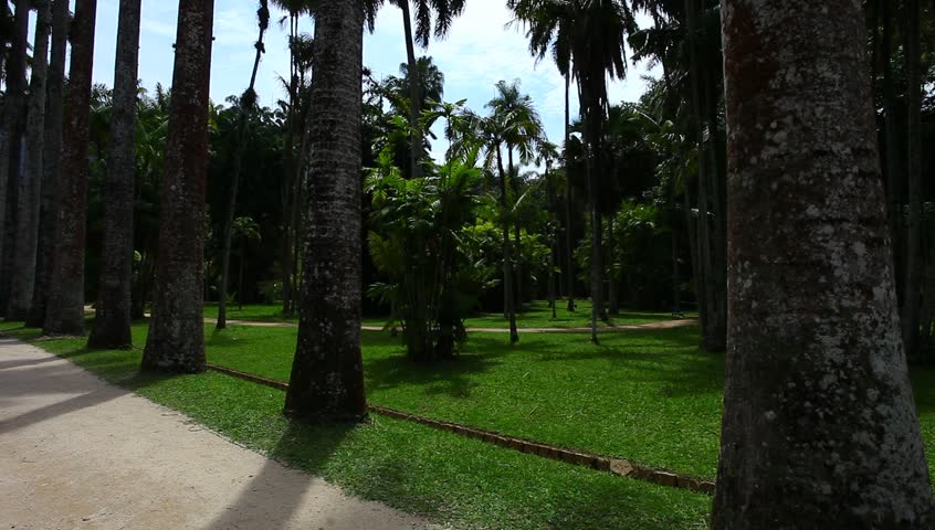 Botanical garden, Rio de Janeiro