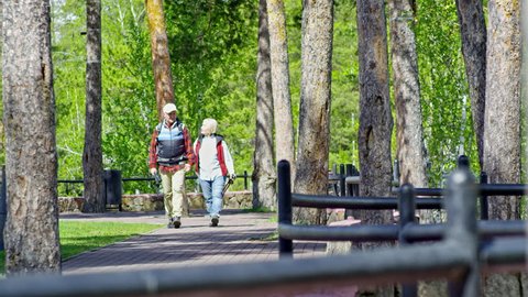 PAN with slow motion of chatting elderly couple in vests with trekking poles holding hands and chatting while walking along path in park on summer day