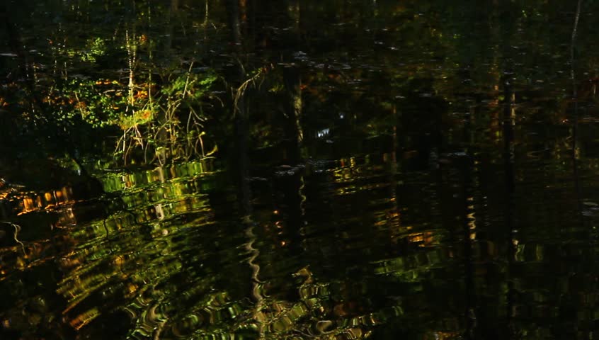 Reflections in the water.