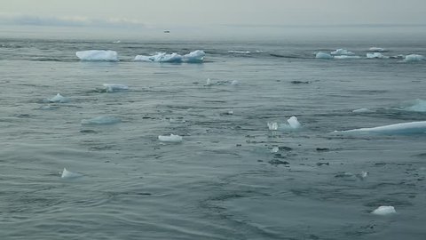 Melting icebergs floating into the ocean on Iceland. Climate change concept.
