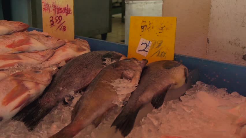Fresh fish on ice at the Market 
