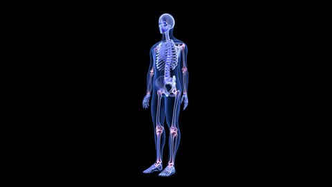 Joint Pain. Blue Human Anatomy Body 3D Scan render - rotating seamless loop