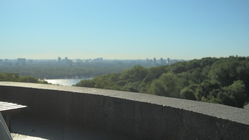 Pleasant man pushing a wheelchair on the observation point