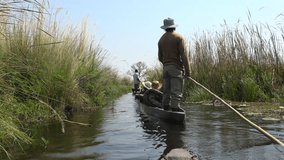 Safari in a Mokoro through the Okavango Delta (as 4K UHD footage)