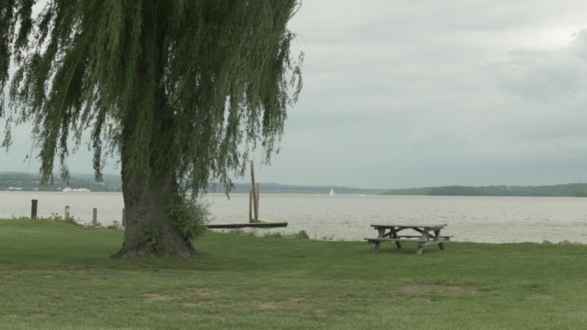 Willow Tree at River Park with Sailboat in Distance