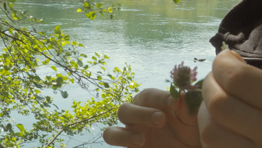 Young Woman Tears Off Petals of a Flower by the River