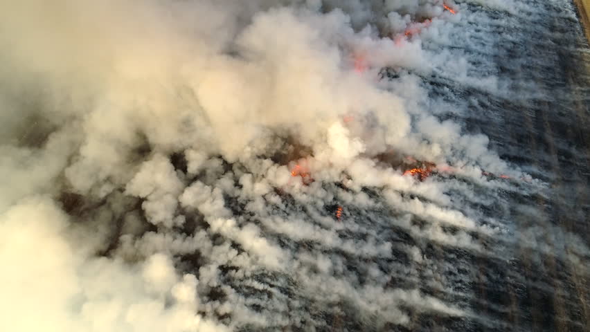 Fire in the field. Aerial view. UHD, 4K | Shutterstock HD Video #29288953
