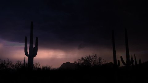 Lightning strikes light up saguaro cactus in Arizona desert landscape at night during summer monsoon season. 4K UHD 3840x2160
