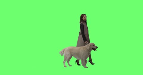 Fashionable Brunette Walks Her Labrador Retriever Dog on a Mock-up Green Screen Background. Shot on RED Cinema Camera in 4K (UHD).