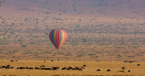 Hot Air Balloon Flying Over Savannah; Maasai Mara Kenya Africa