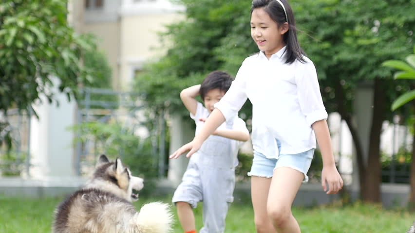 Happy Asian children playing with siberian husky dog in the garden slow motion 