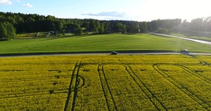 Car driving in countryside crossroads, Cinema 4k aerial view following a car driving on a gravel road between yellow rapeseed fields and other green fields, at evening, in Uusimaa, Finland