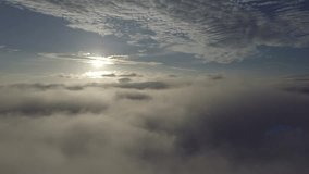 Flying through the clouds or mist during morning.