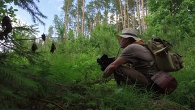 Cameraman in nature: Mature man in hat a shot video insect and plants identification data macro in pine summer forest