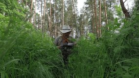 Cameraman in nature: Mature man in hat a shot video insect and plants identification data macro in pine summer forest