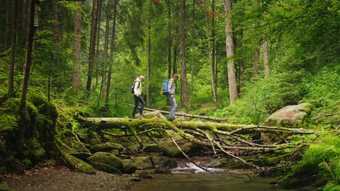 A couple of tourists cross the mountain river along a fallen tree. Adventures and extreme tourism, overcoming obstacles