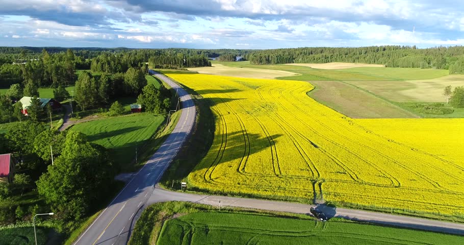 Road on countryside, Cinema 4k aerial view above a asphalt road, between yellow rapeseed fields and other green fields, at a evening, in Uusimaa, Finland Royalty-Free Stock Footage #29371597