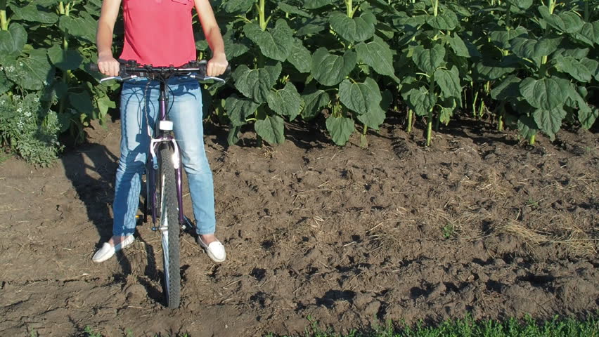 Girl on a bicycle in the nature. Girl with a bicycle on a sunflower field.