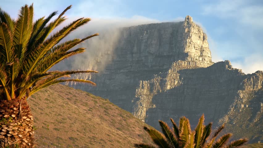 Cape Town Table mountain with cloud & mist rolling down & across cliff face, high cirrus clouds in blue sky above, Signal Hill foothills with palm trees in foreground, warm glow from setting sun