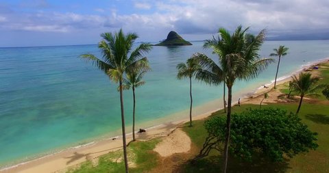 Tropical Beach with Sandy Shores, Turquoise Green Water and Palm Trees with Small Island in Background - Aerial Footage in Oahu, Hawaii