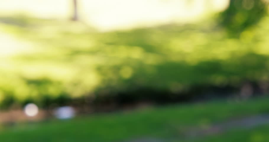Portrait of a smiling girl in park on a sunny day