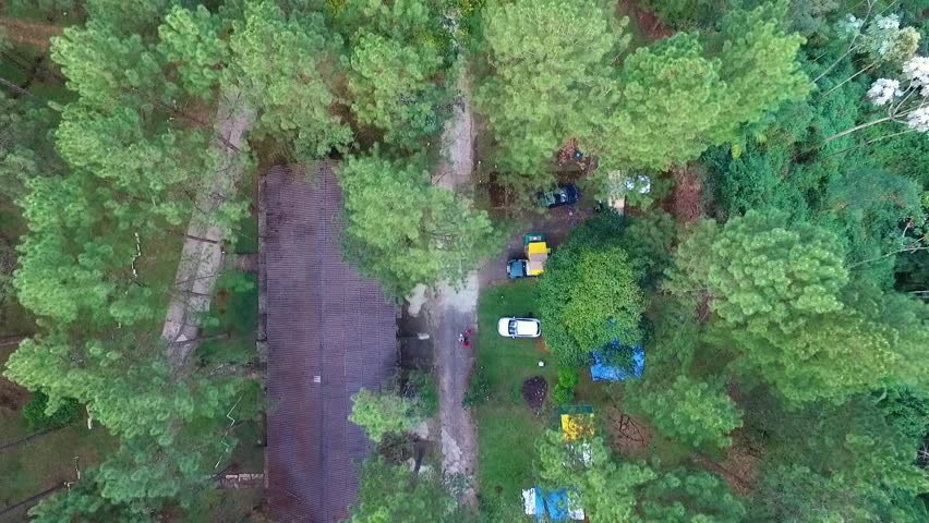 Aerial drone on top of trees vertical panorama showing forest and beautiful mountains in the horizon with sun shining in