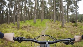 POV Shot Of Male Biker Riding Bicycle In Forest