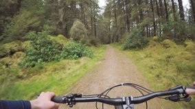 POV Shot Of Mountain Biker Riding Bicycle On Amidst Trees