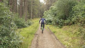 Aerial Drone Footage Of Biker Riding Bicycle Amidst Trees
